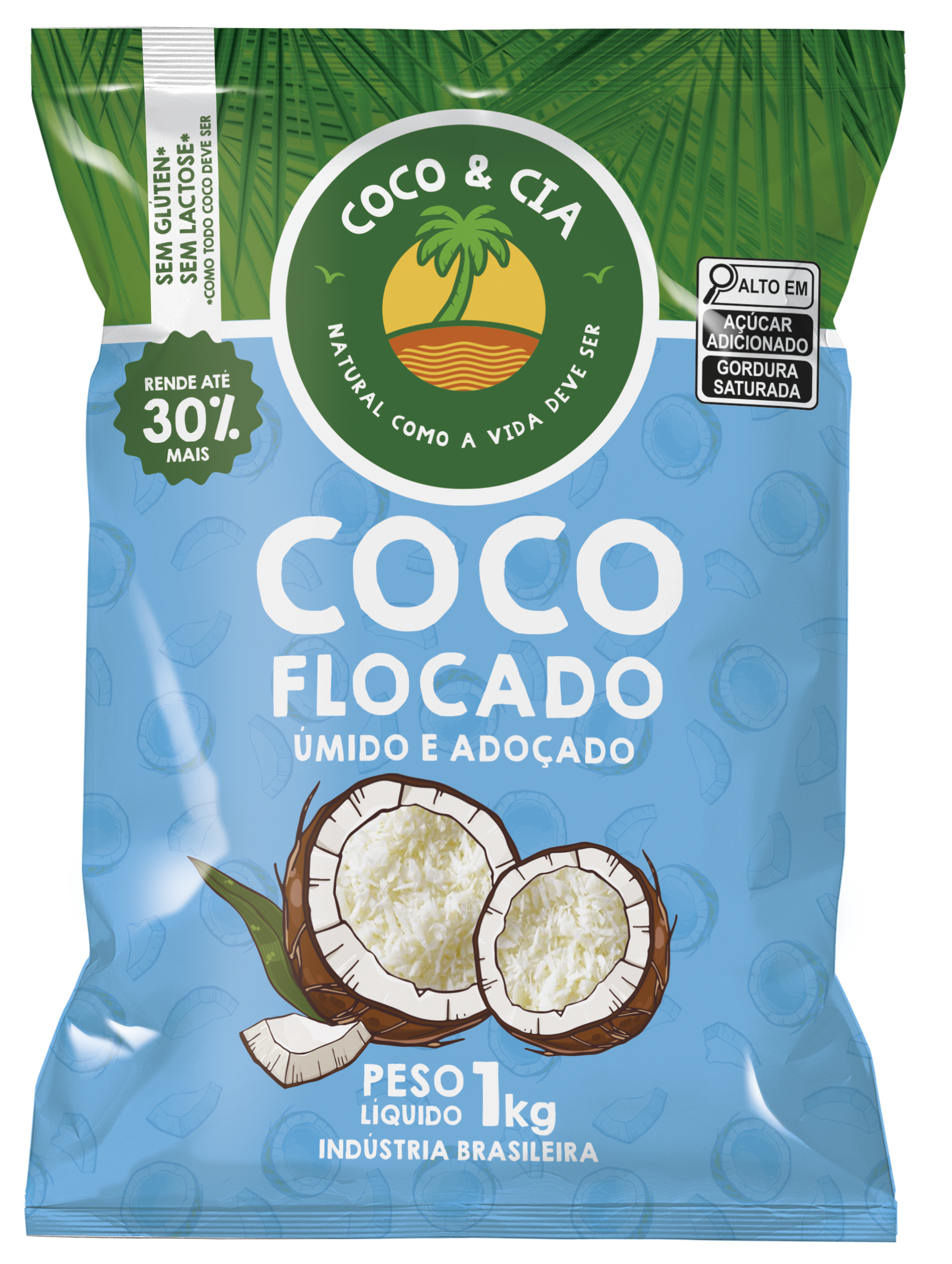 Coco Flocado Úmido e Adoçado 1kg